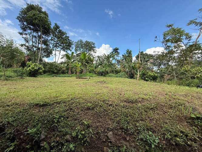 Venta de finca de cacao fino de aroma en Santa Teresita, Turrialba. - Imagen 12