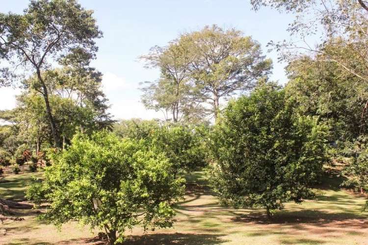 PRECIO REBAJADO. Preciosa propiedad en San Pedro de Turrubares - Imagen 4