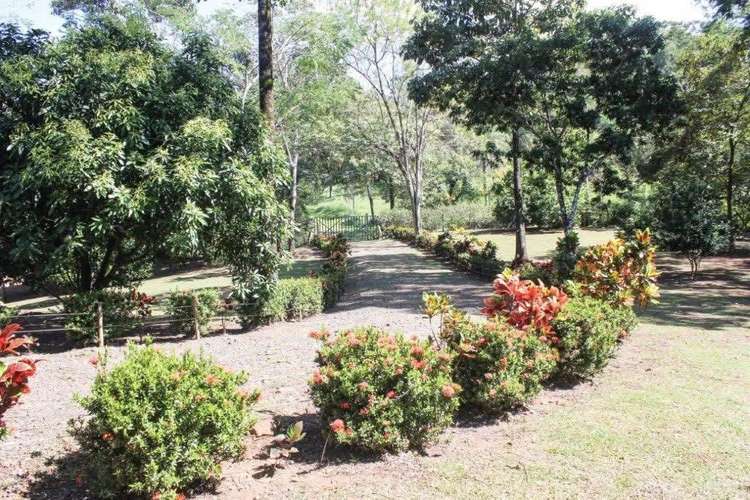 PRECIO REBAJADO. Preciosa propiedad en San Pedro de Turrubares - Imagen 3
