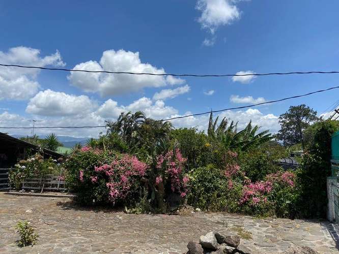 Venta de terreno en el Carmen, Cartago 13431