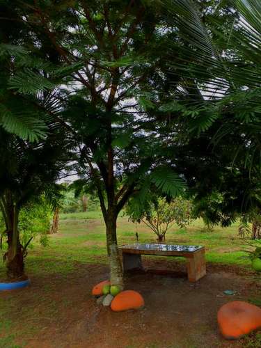Finca en Puerto Viejo de Sarapiquí, Heredia - Imagen 19