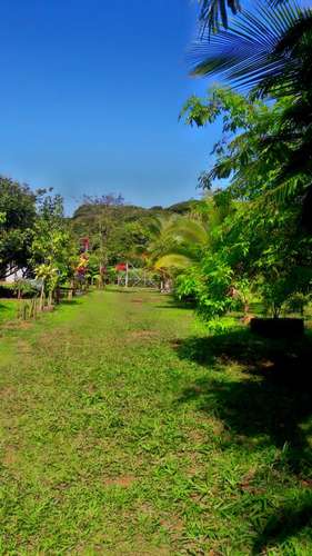 Finca en Puerto Viejo de Sarapiquí, Heredia - Imagen 10