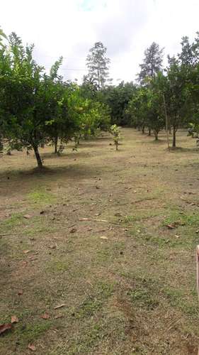 Finca en Puerto Viejo de Sarapiquí, Heredia - Imagen 14