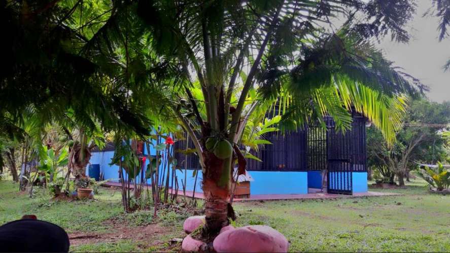 Finca en Puerto Viejo de Sarapiquí, Heredia - Imagen 8