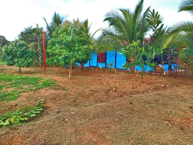 Finca en Puerto Viejo de Sarapiquí, Heredia - Imagen 9