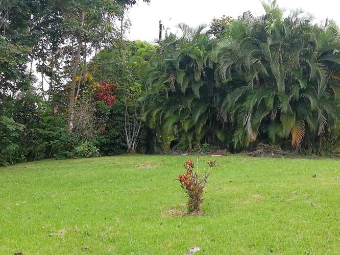Finca de 3 Ha en San Isidro de Peñas Blancas, San Ramón de Alajuela - Imagen 4