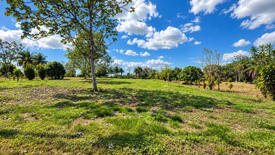Se vende lotes en San Mateo desde los 5.000 m2 - Imagen 11