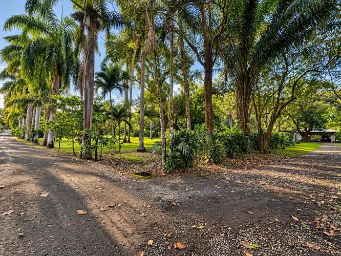 Se vende lotes en San Mateo desde los 5.000 m2 - Imagen 8