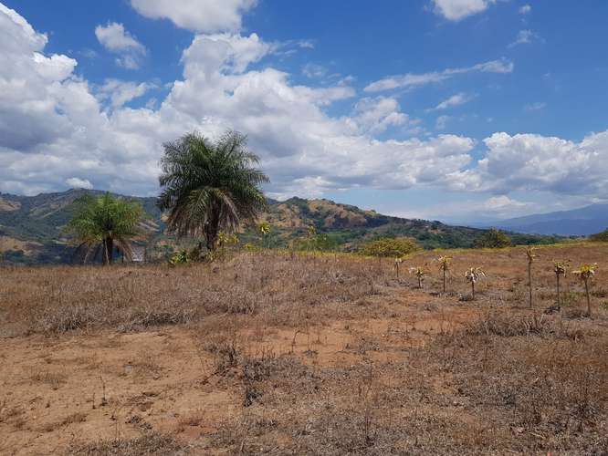 Lote en Residencial Vista Mar con vista al mar y Reserva Biológica Chompipe, Orotina, Alajuela - Imagen 3