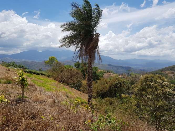Lote en Residencial Vista Mar con vista al mar y Reserva Biológica Chompipe, Orotina, Alajuela - Imagen 8