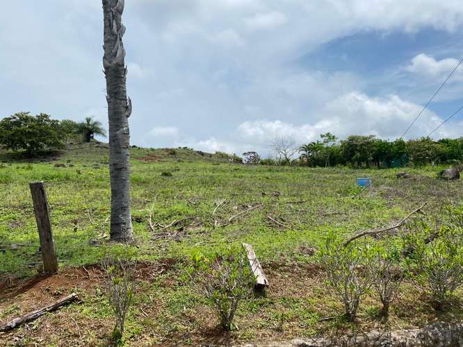 Lote en Residencial Vista Mar sobre Meseta entre Atenas y Orotina, Alajuela - Imagen 9