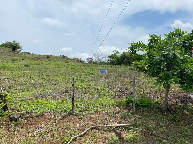 Lote en Residencial Vista Mar sobre Meseta entre Atenas y Orotina, Alajuela - Imagen 6