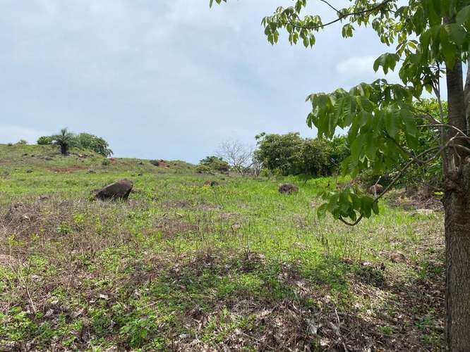 Lote en Residencial Vista Mar sobre Meseta entre Atenas y Orotina, Alajuela - Imagen 2