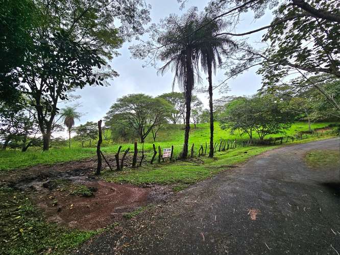 Finca de 20 Hectáreas contiguo Residencial Vista Mar, entre Atenas y Orotina, Alajuela - Imagen 3