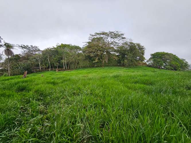 Finca de 20 Hectáreas contiguo Residencial Vista Mar, entre Atenas y Orotina, Alajuela - Imagen 6
