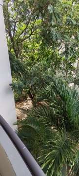 Alquiler de apartamento en la mejor ubicación en Santa Ana. - Imagen 12