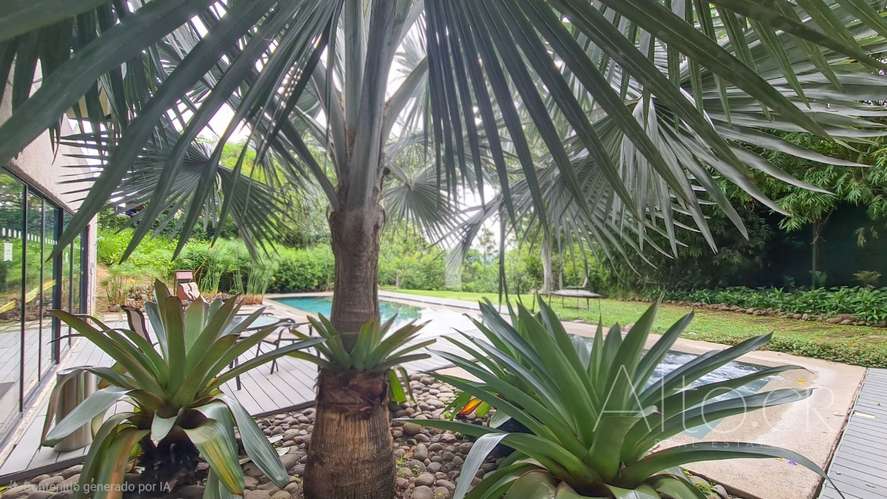 BRASIL DE SANTA ANA  |  TIPO - ESTUDIO   |  CON JARDIN   |   LINEA BLANCA - Imagen 13
