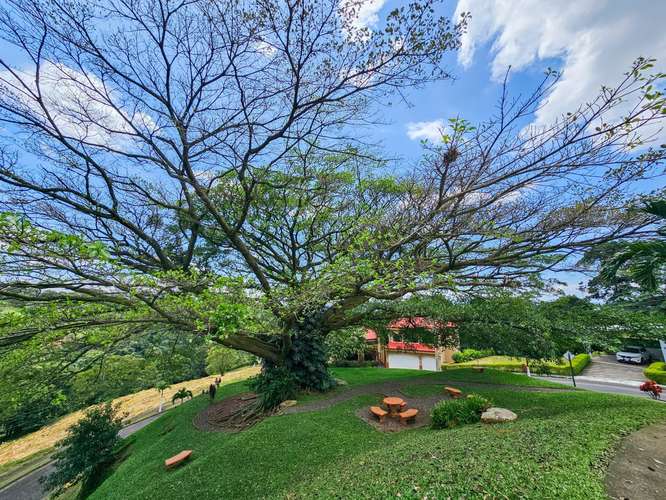 Lote en venta 1518 m2 | Condominio El Roble | Grecia | Alajuela LSE