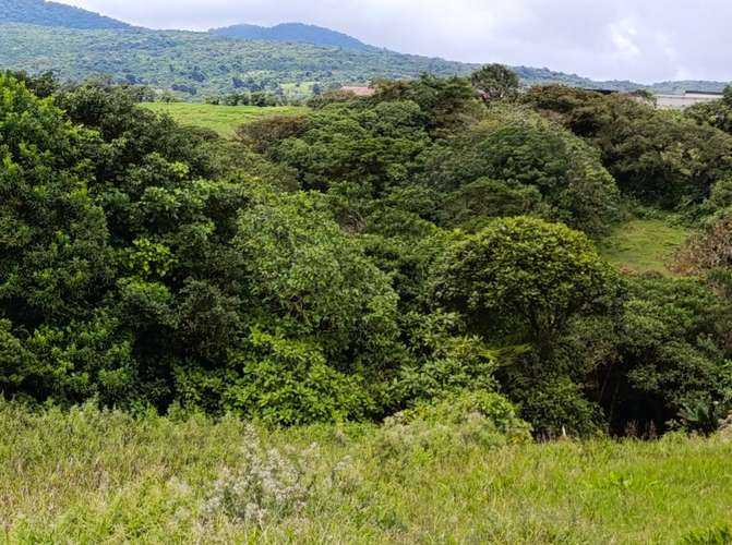 Lote de 4106 m² en Dulce Nombre de Jesús con espectacular vista al Valle Central y montañas del Zurquí