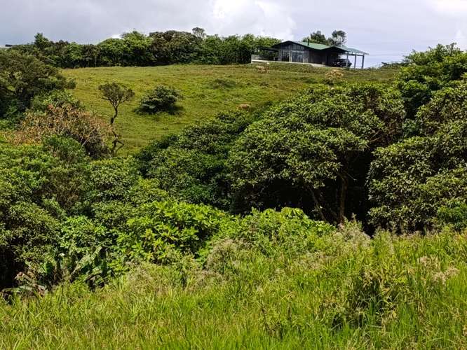 Lote de 4106 m² en Dulce Nombre de Jesús con espectacular vista al Valle Central y montañas del Zurquí