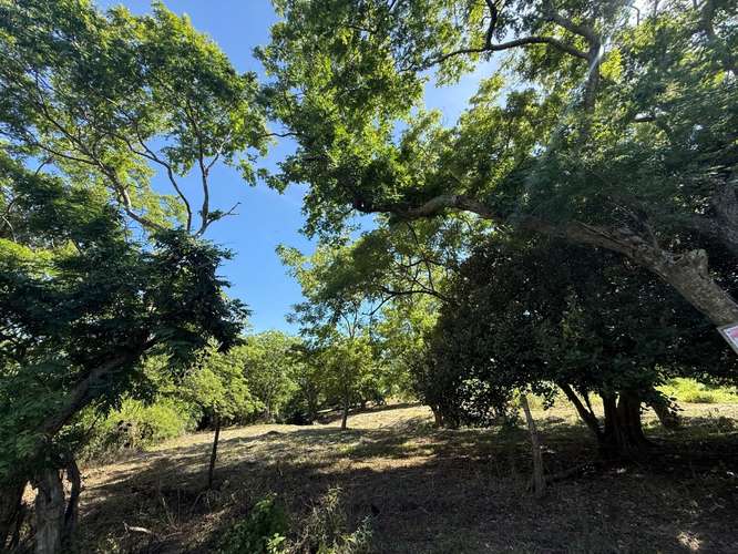 Terreno en venta en La Cruz, Guanacaste En Soley, cerca del mar - Imagen 9