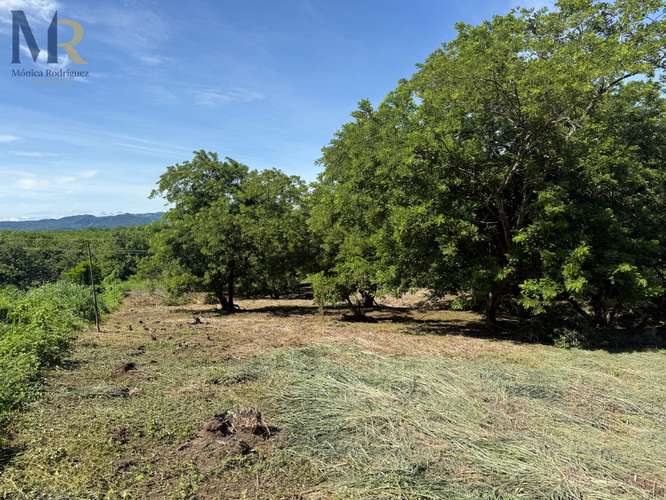 Terreno en venta en La Cruz, Guanacaste En Soley, cerca del mar - Imagen 3