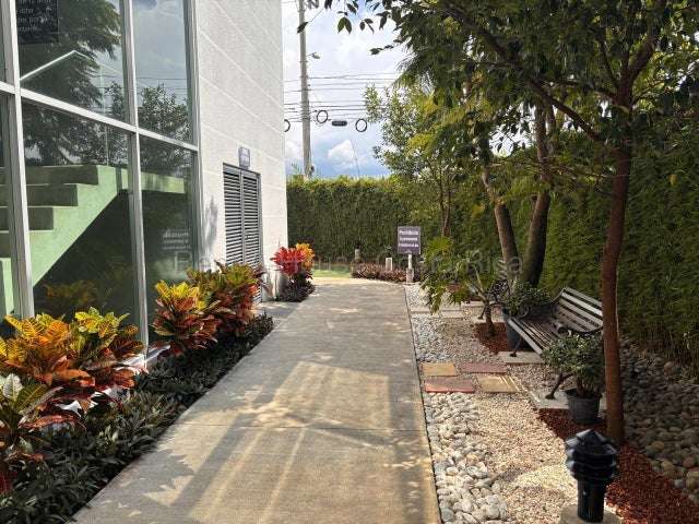 Alquiler de Apartamento en San Pablo, Heredia RZ  - Imagen 17