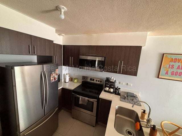 Alquiler de Apartamento en San Pablo, Heredia RZ  - Imagen 3
