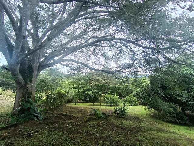 Alquiler de Quinta Con Casa en Garabito-Lagunillas.  - Imagen 12