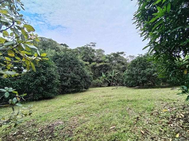 Alquiler de Quinta Con Casa en Garabito-Lagunillas.  - Imagen 2