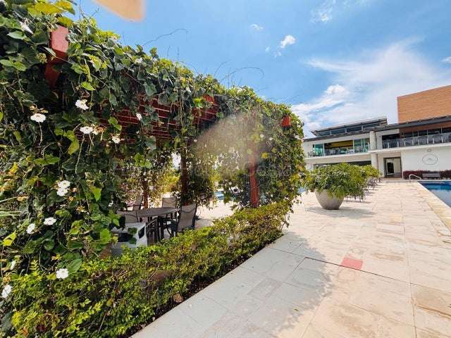 Alquiler de Apartamento en San Pablo, Heredia. - Imagen 18