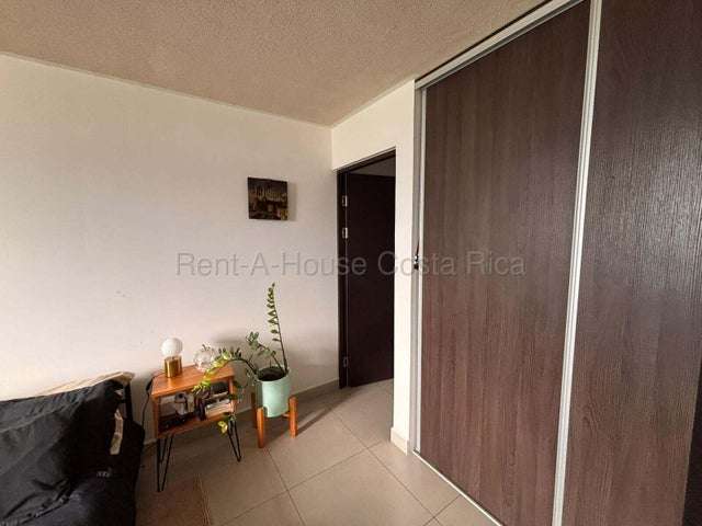 Alquiler de Apartamento en San Pablo, Heredia. - Imagen 5