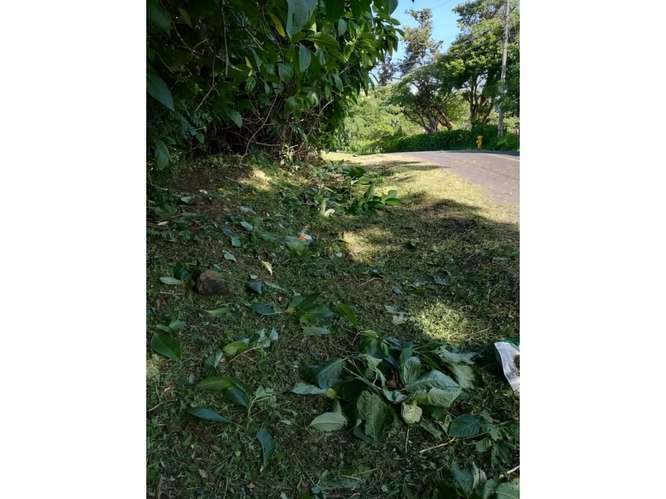 Gran oportunidad de venta de terreno en San Rafael de Escazu - Imagen 3