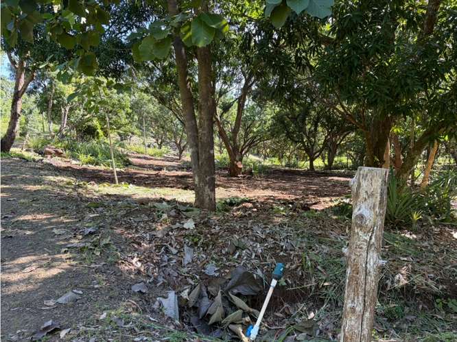 Quinta Segura en Zona Tamarindo (Altos de Pinilla) - Imagen 6