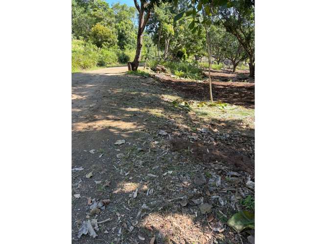 Quinta Segura en Zona Tamarindo (Altos de Pinilla) - Imagen 3