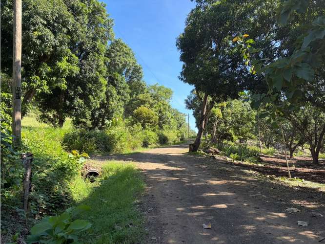 Quinta Segura en Zona Tamarindo (Altos de Pinilla)