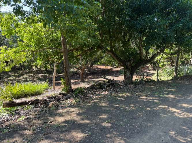 Quinta Segura en Zona Tamarindo (Altos de Pinilla) - Imagen 2