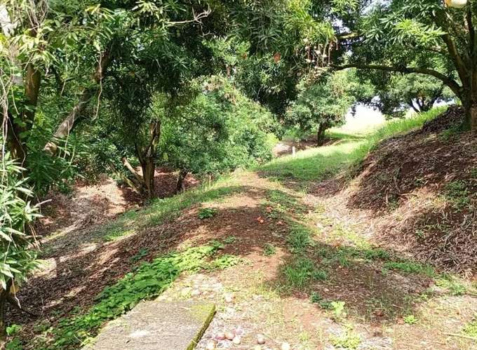Finca de 80.000 m² con vista panorámica en Puntarenas provincia, Guacalillo.
