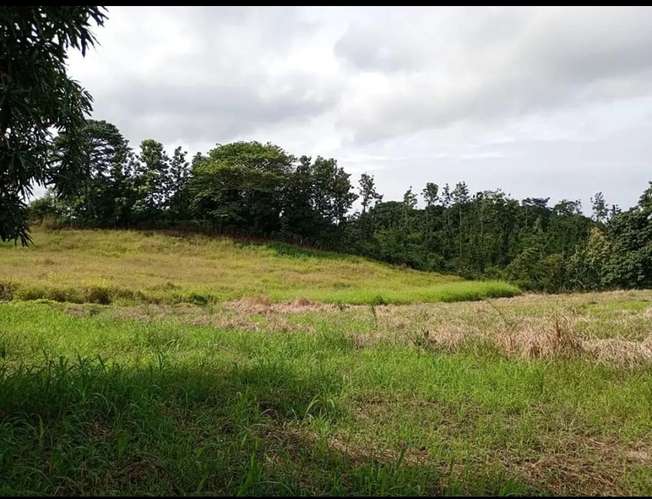 Finca de 80.000 m² con vista panorámica en Puntarenas provincia, Guacalillo.