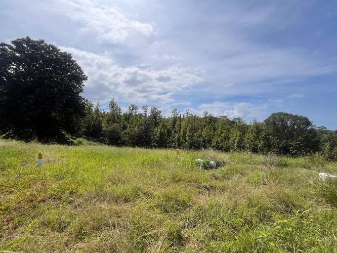 Finca de 80.000 m² con vista panorámica en Puntarenas provincia, Guacalillo.