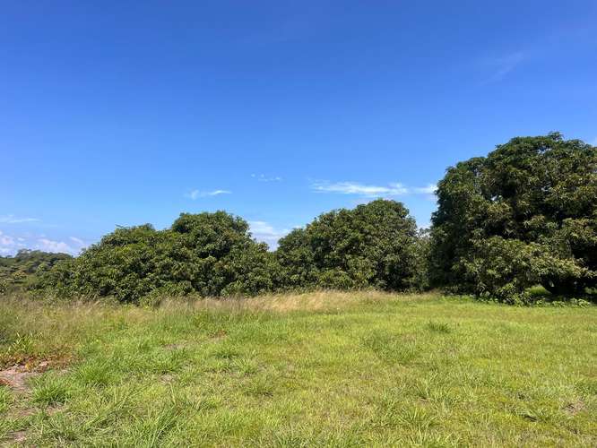 Finca de 80.000 m² con vista panorámica en Puntarenas provincia, Guacalillo.