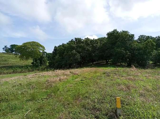 Finca de 80.000 m² con vista panorámica en Puntarenas provincia, Guacalillo.