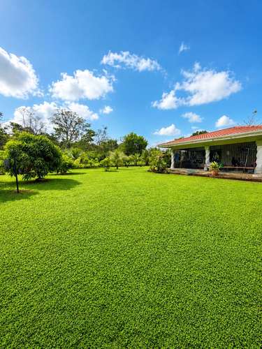 Quinta en Upala, Alajuela, con 2 dormitorios, 2 baños y amplios jardines - Imagen 1