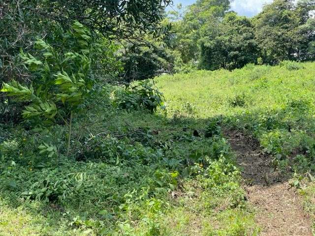 Venta lote El Rodeo Ciudad Colon Costa Rica - Imagen 6