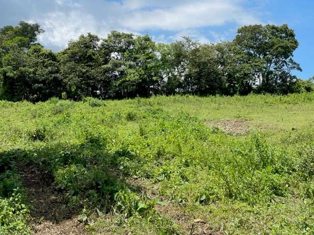Venta lote El Rodeo Ciudad Colon Costa Rica - Imagen 8