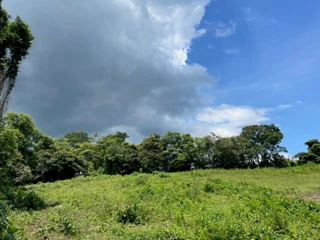 Venta lote El Rodeo Ciudad Colon Costa Rica - Imagen 11