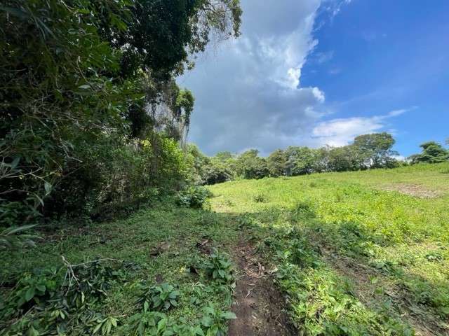 Venta lote El Rodeo Ciudad Colon Costa Rica - Imagen 10