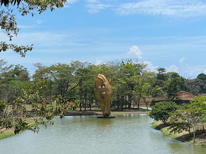 Venta lote en condominio Playa Hermosa Costa Rica Jacó - Imagen 8