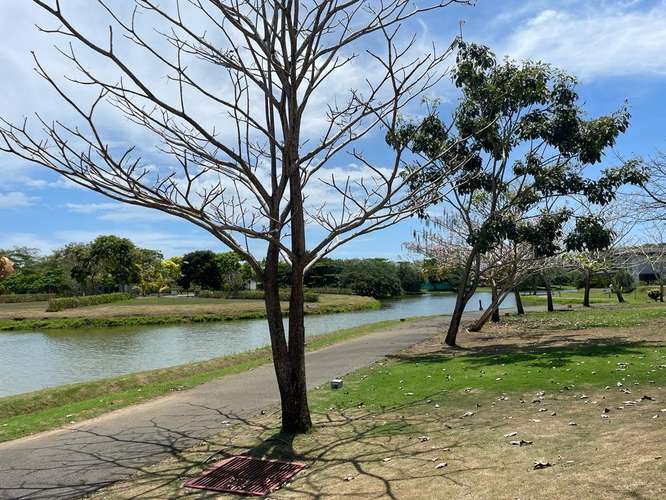 Venta lote en condominio Playa Hermosa Costa Rica Jacó - Imagen 5
