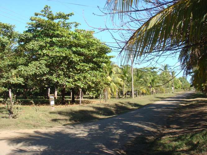 Venta Lote Segunda Fila Playa San Miguel Nandayure Guanacaste - Imagen 7
